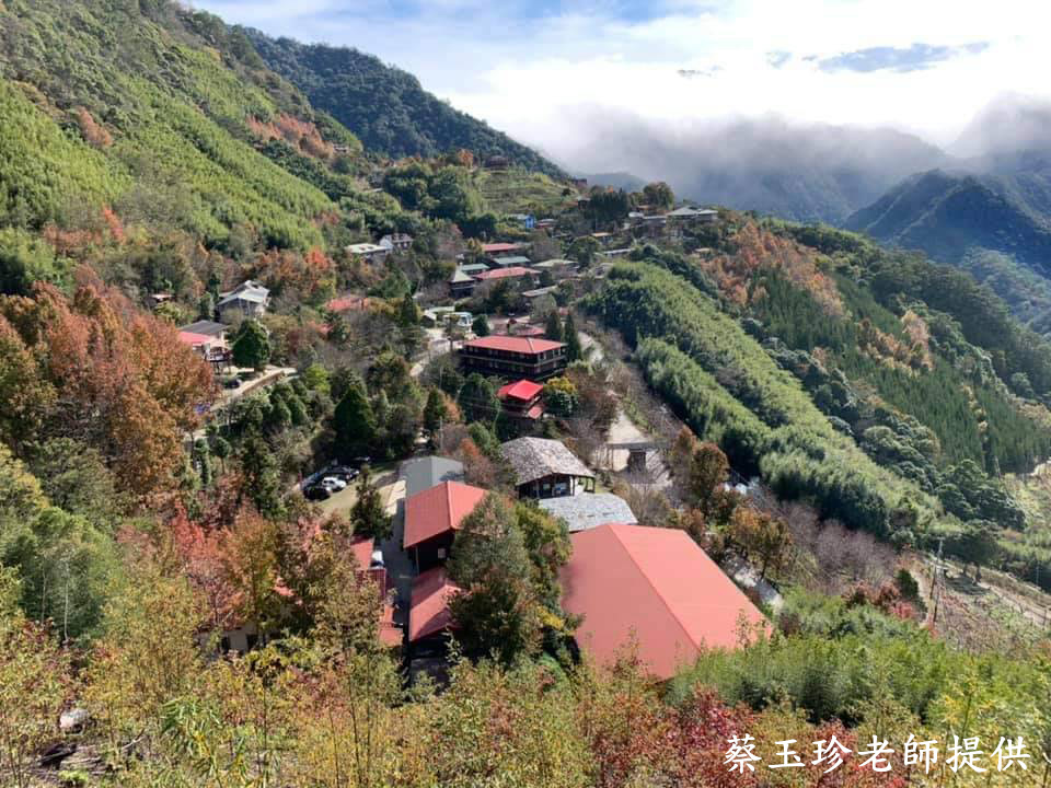 《台南出發》六人成行.六人到府接送~司馬庫斯 二日遊《住宿司馬庫斯部落內》