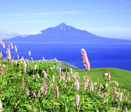 北海道道北～北緯45度禮文+利尻雙島.知床祕境 八日遊