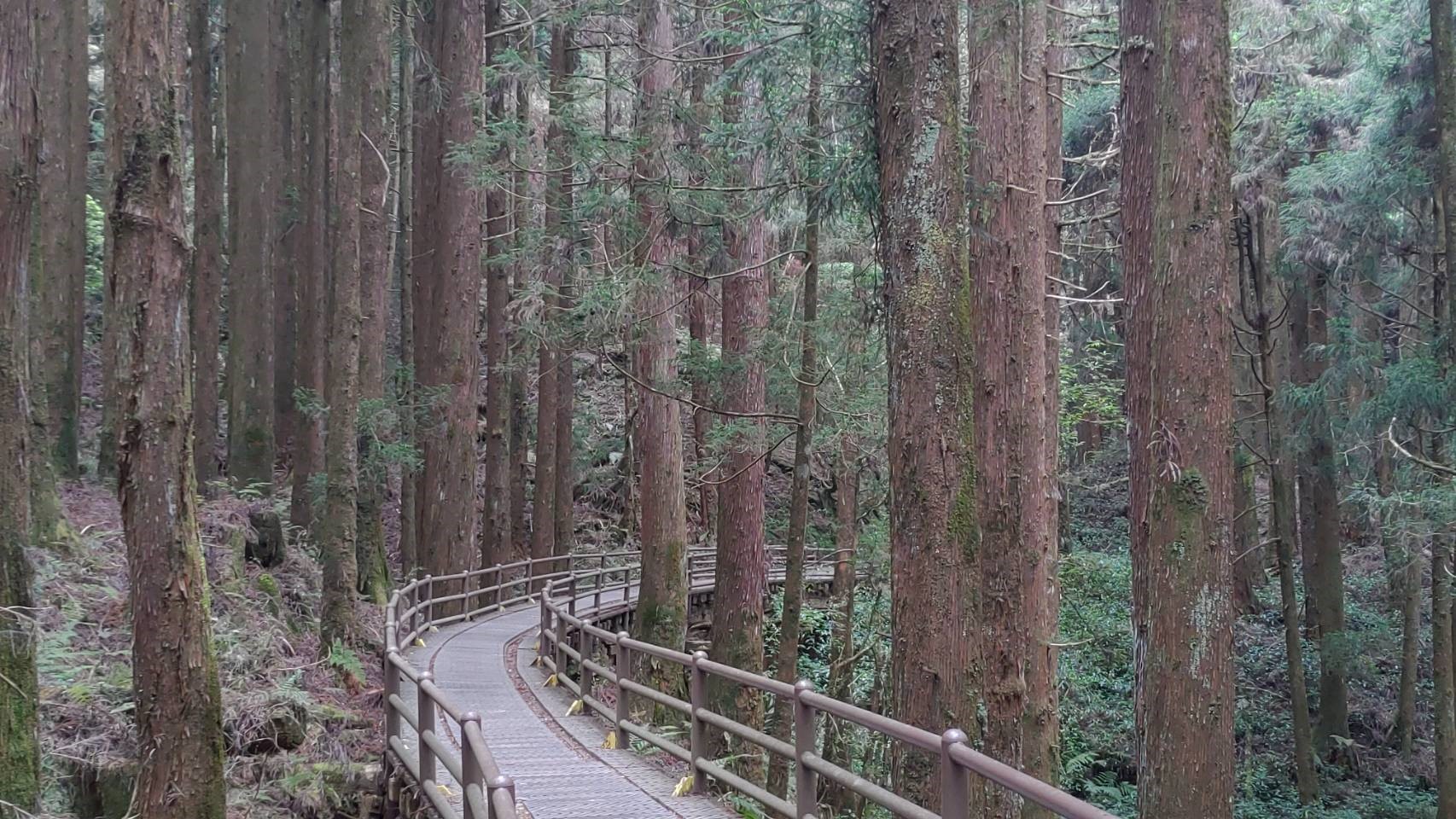 《台北出發》水山線懷舊鐵路∽特富野古道、部落、溫泉 二日遊