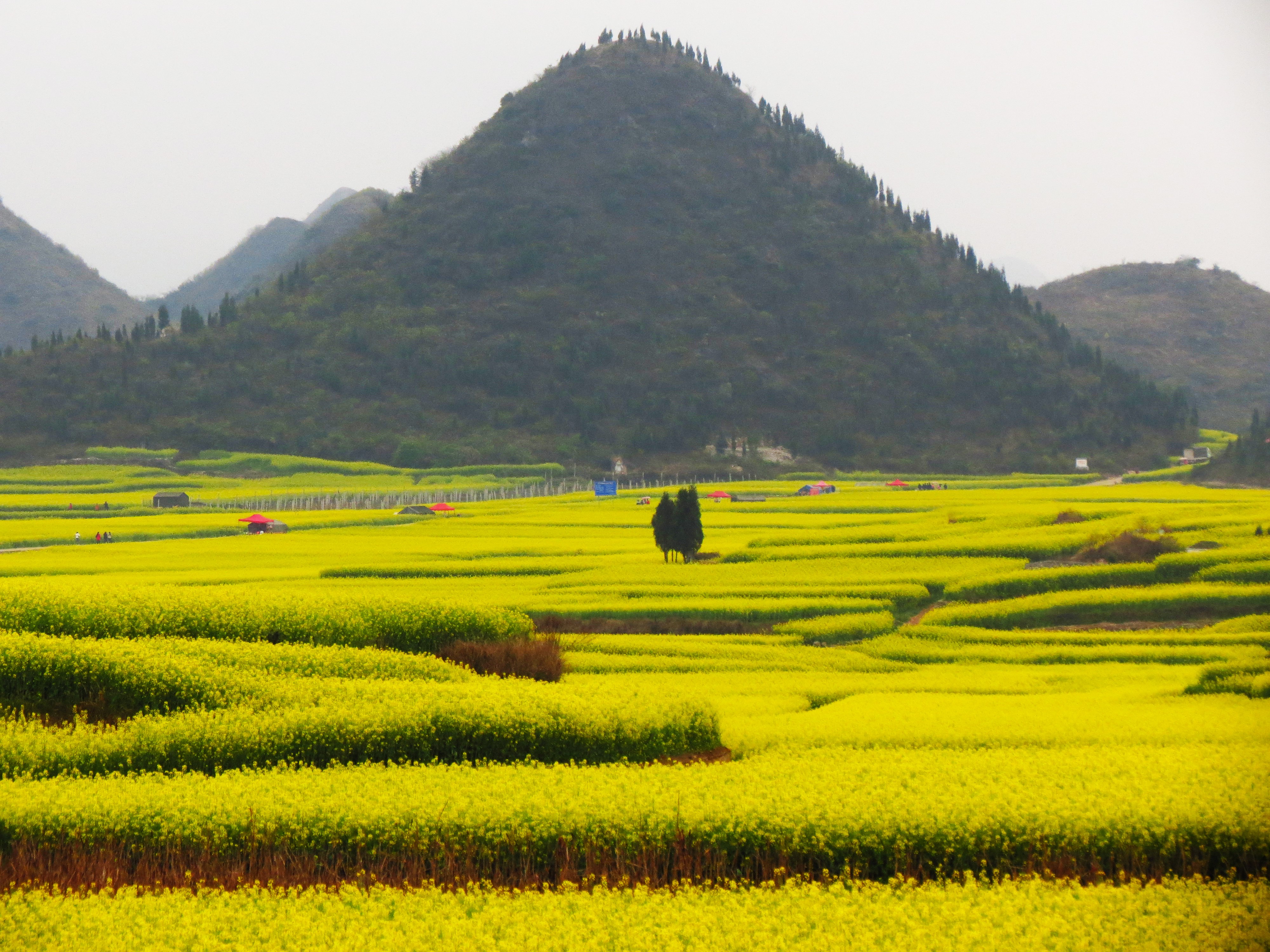 彩之雲南 東川紅土地.羅平.彌勒.元陽.建水 八日遊