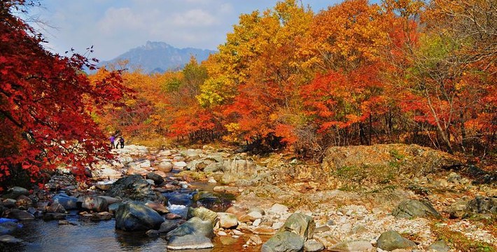 秋戀遼寧 八日遊 盤錦紅海灘.蒲石河.天橋溝.關門山