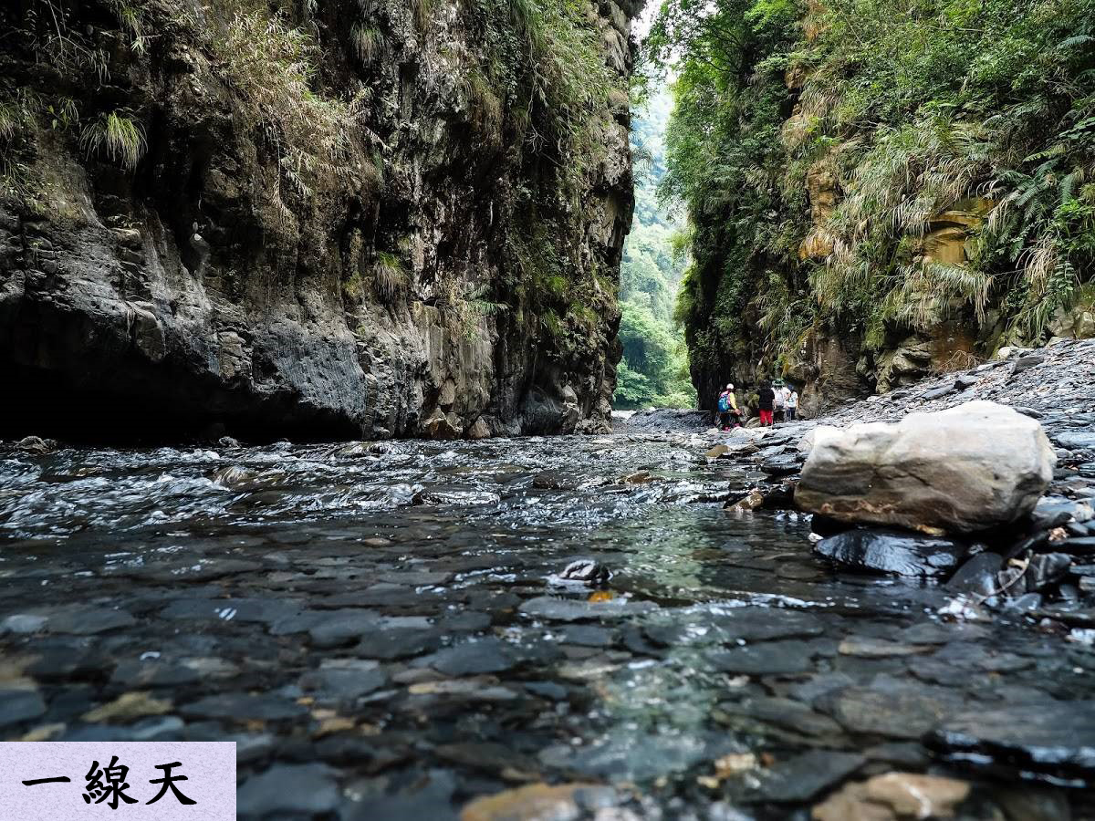 《台北出發》武界∽特富野古道、部落、溫泉 三日遊 