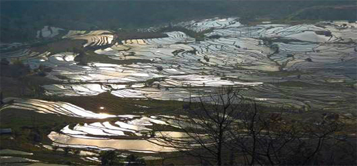 東川紅土地.羅平.元陽.建水 八日遊