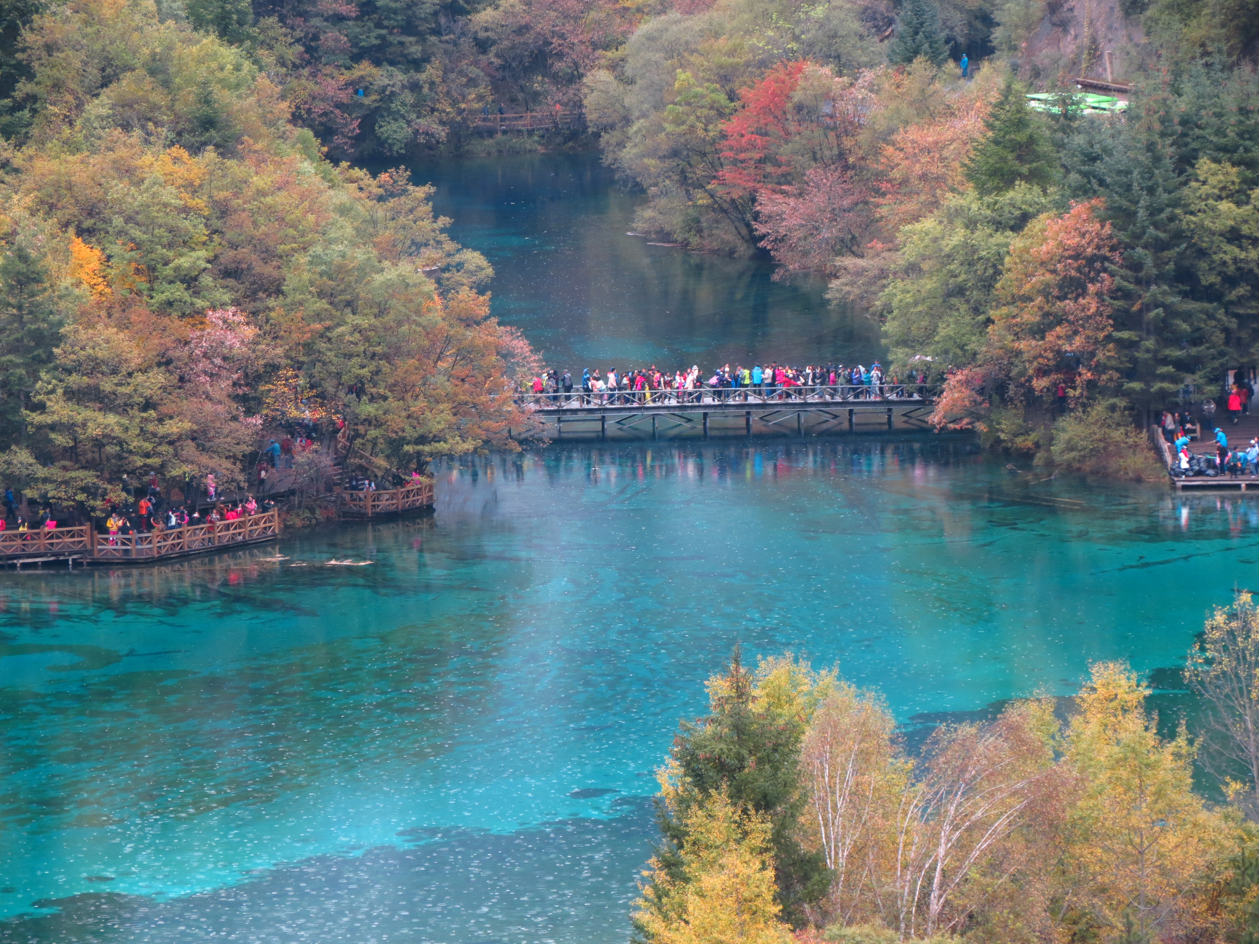 秋戀九寨溝(2次進溝).黃龍.牟尼溝.樂山.峨嵋山 八天