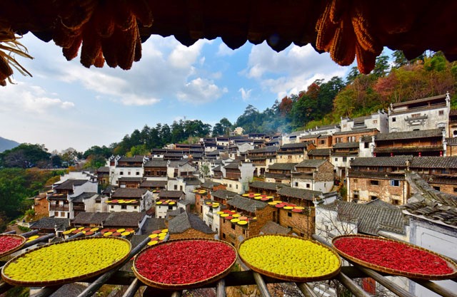 唯美江南 八天之旅 高鐵體驗.鄉村.影視城.古鎮.跨海大橋